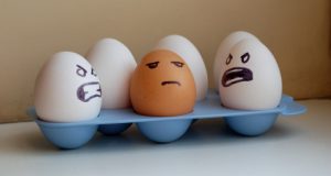 Egg-Racism