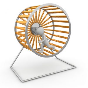 hamster-wheel-1014047_640