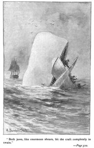 382px-Moby_Dick_p510_illustration
